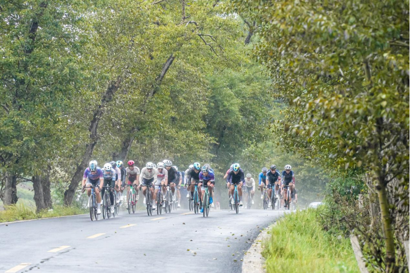 其中精英组, icsN, 把的有力双