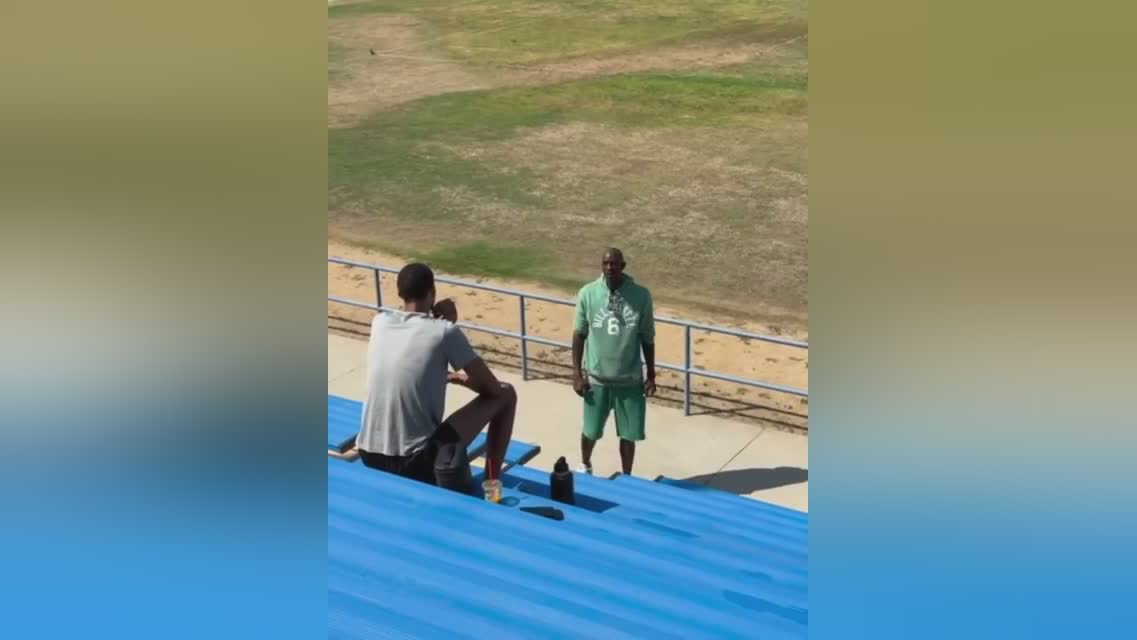 img, img, net img, img, net