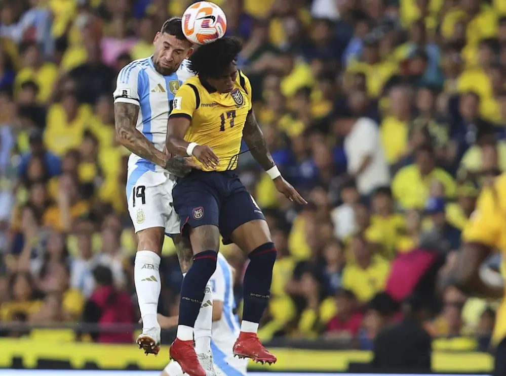 entit, 时就是排名, 法国和巴西