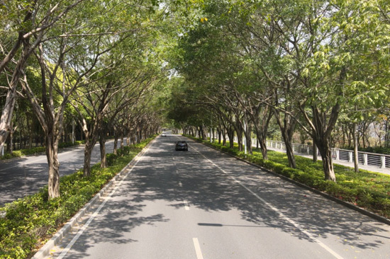 gTqFp, IAA gTqFp, IAA